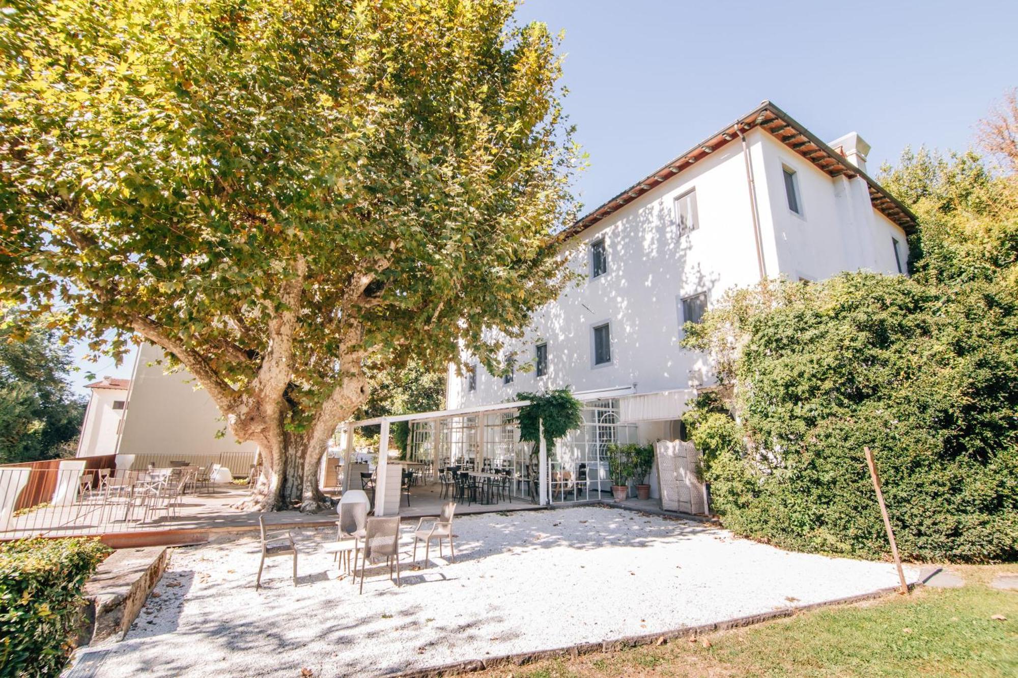 Villa La Bianca 卡麦奥雷 外观 照片